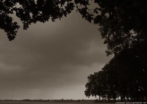 Messines ridge