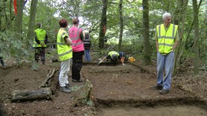 Trench in the wood